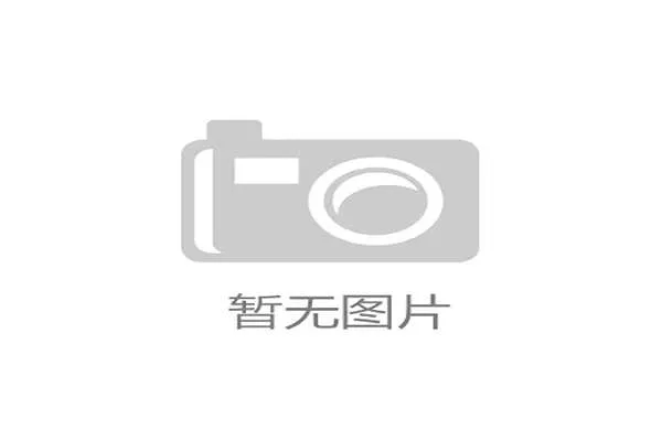 产业链上下游伙伴协同 构建全域体验网络